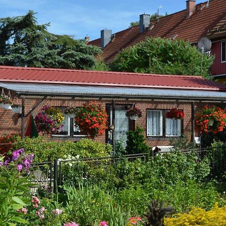 Bungalow Weidling Hasselfelde Exterior photo